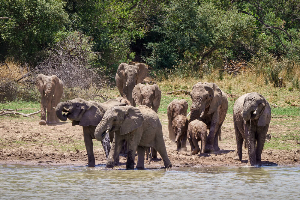 Discovering Tarangire National Park
