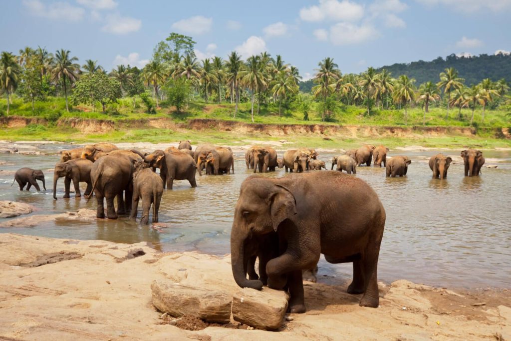 6 Days Maasai Mara & Lake Nakuru Safari
